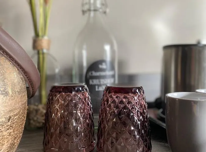 Charmehotel Kruishof فندق