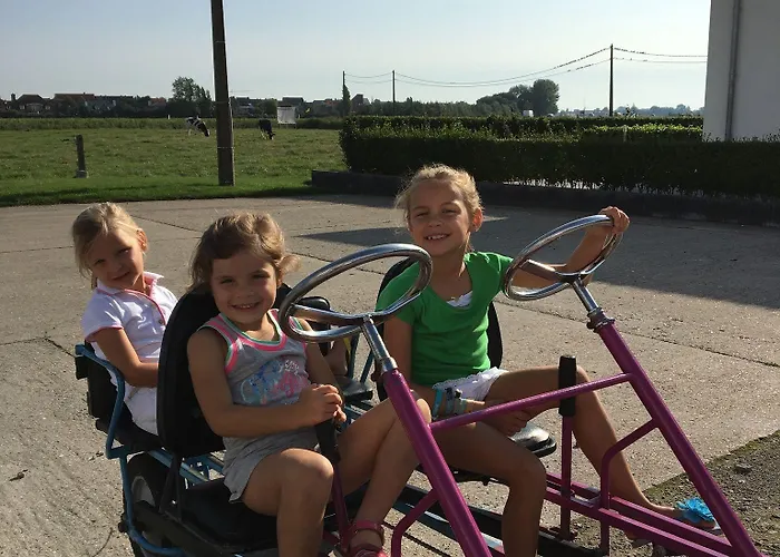 Charmehotel Kruishof فندق